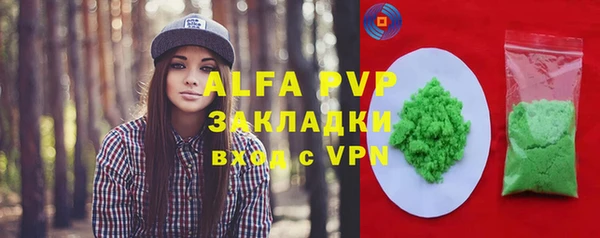 прущие грибы Снежногорск