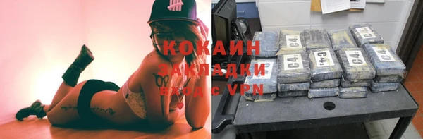 прущие грибы Снежногорск