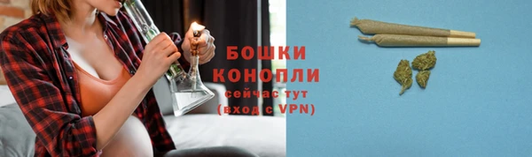 прущие грибы Снежногорск