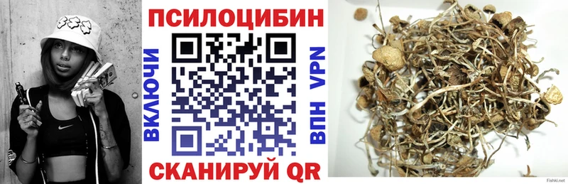 Галлюциногенные грибы Cubensis  Котово 